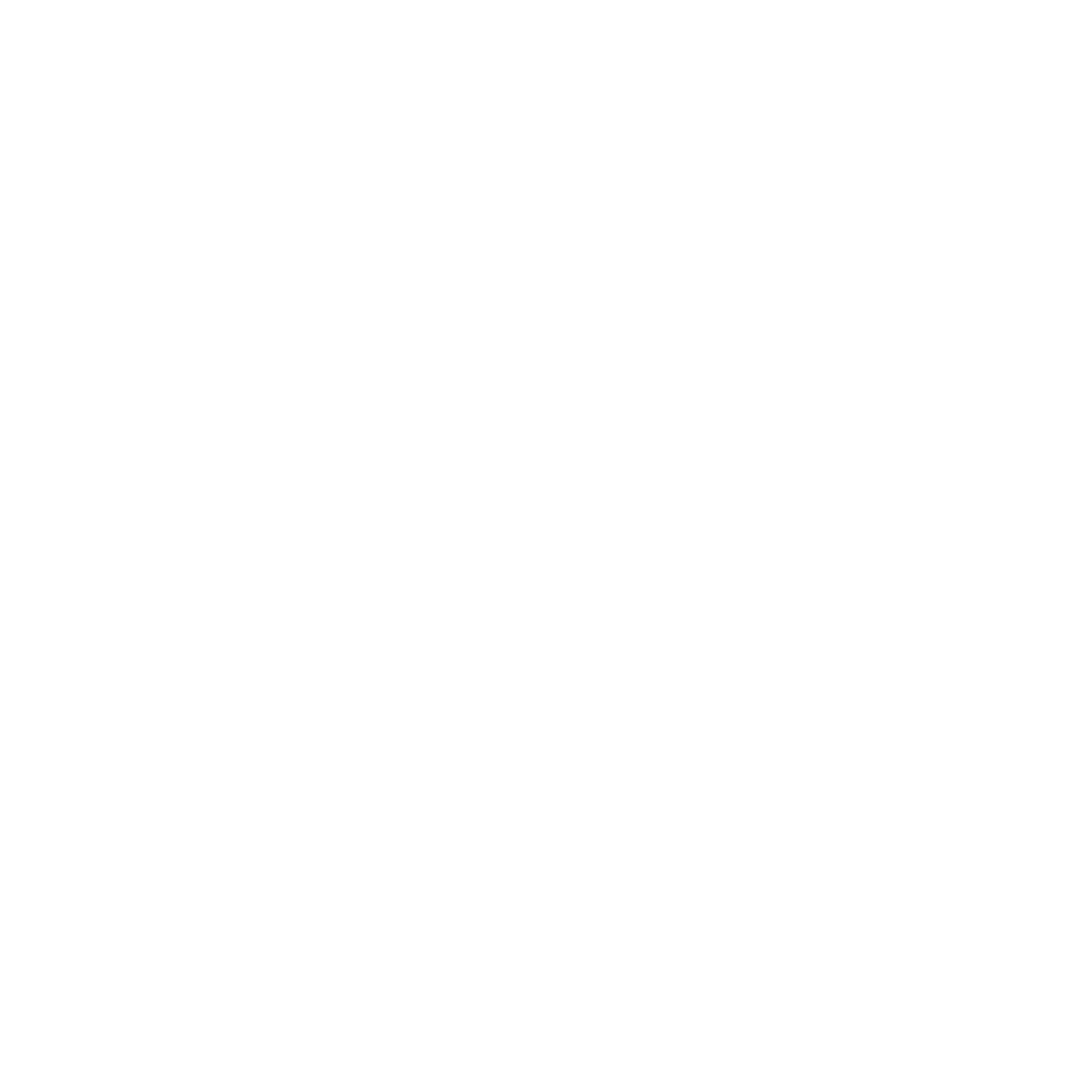 Endoso logo